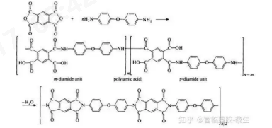 开云体育科技