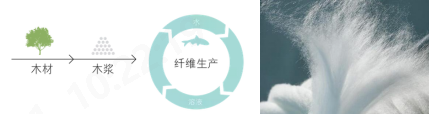 开云体育科技
