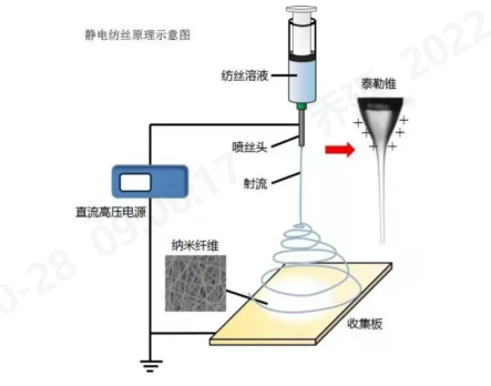 开云体育科技